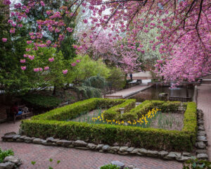 Brooklyn College Campus