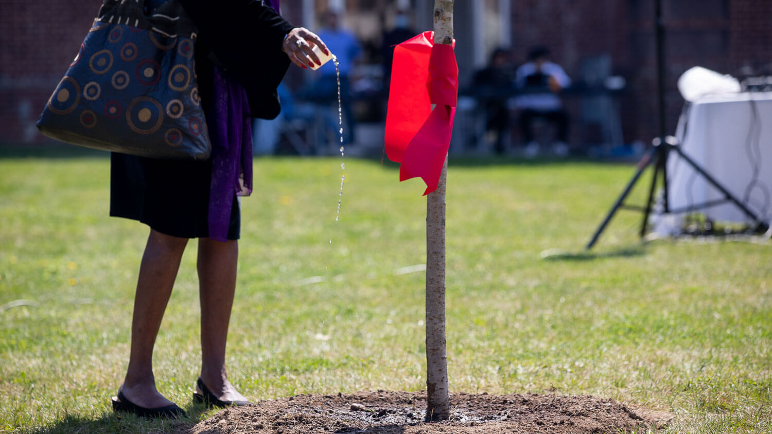 Water is poured on a tree planted in memory of the members of the Brooklyn College family that were lost.